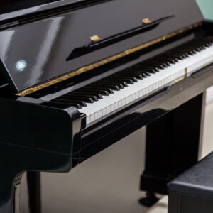 محمدرضا صفرپور